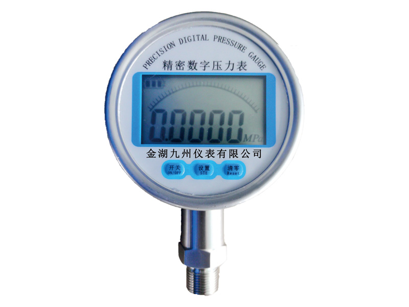 精密數(shù)字壓力表