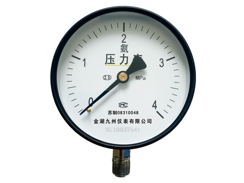 氨用壓力表